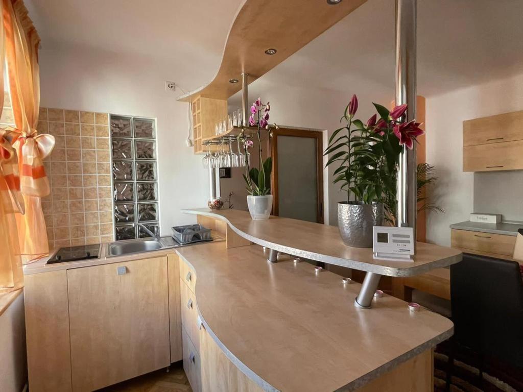 Winterland Sf.ioan Apartment *